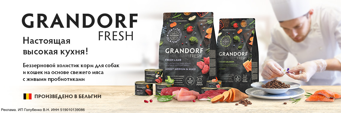 GRANDORF_FRESH