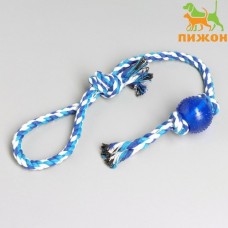 Игрушка -дразнилка для собак с мячиком 95г