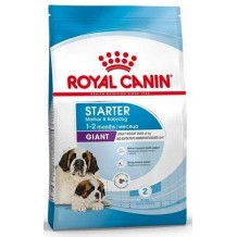 Royal Canin Giant Starter Сухой корм для щенков очень крупных пород в возрасте до 2 месяцев, беременных и кормящих сук