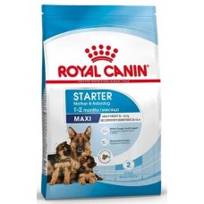 Royal Canin Maxi Starter Сухой корм для щенков крупных пород в возрасте до 2 месяцев, беременных и кормящих сук