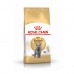 Royal Canin British Shorthair Adult Сухой корм полнорационный для взрослых британских короткошерстных кошек