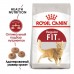 Royal Canin Fit 32 Сухой корм полнорационный для взрослых умеренно активных кошек от 1 года