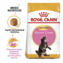 Royal Canin Maine Coon Kitten Сухой корм сбалансированный для котят породы Мэйн Кун до 12 месяцев