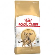 Royal Canin BENGAL ADULT Сухой корм полнорационный для взрослых бенгальских кошек старше 12 месяцев