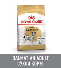 royal canin dalmatian junior